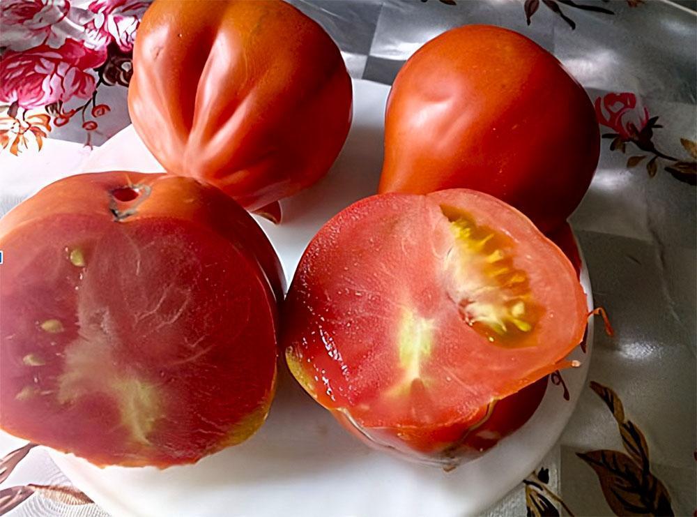 хорошие сорта томатов