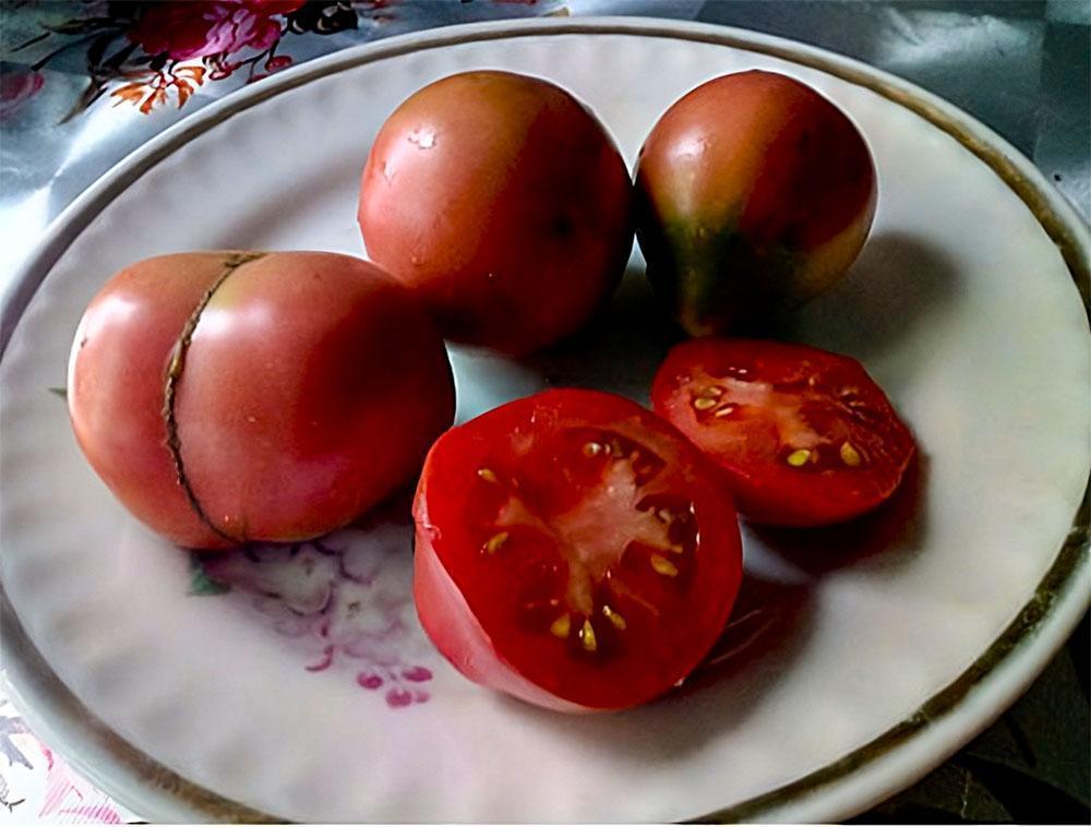 хороших сортов томатов