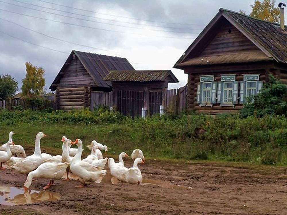 деревенские фото