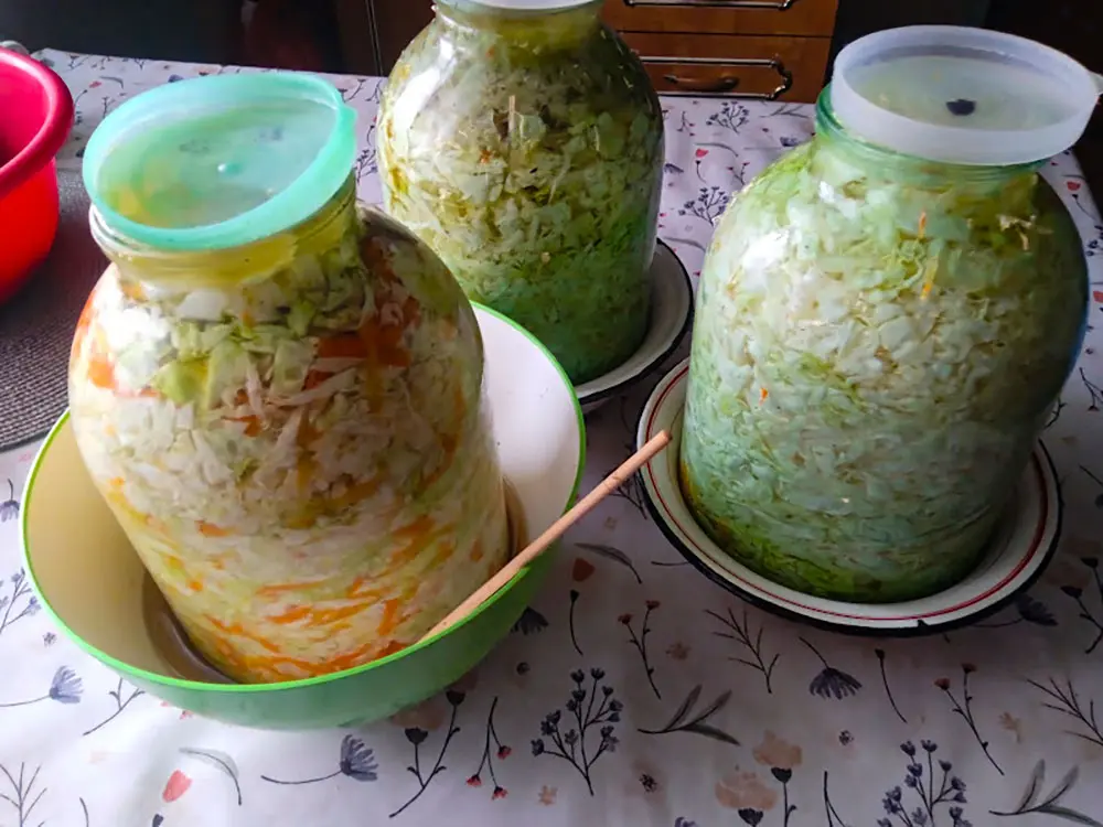 квашеная капуста